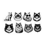 8 x Ragdoll Cat SVG PNG Bundle - Long Haired Cat Portraits - Cute Fluffy Cat Clipart - Hand Drawn Cat Illustration - Sublimation Design for Pet Lovers Digital Download DIY Decal Design Vinyl Cut File Instant Digital Download