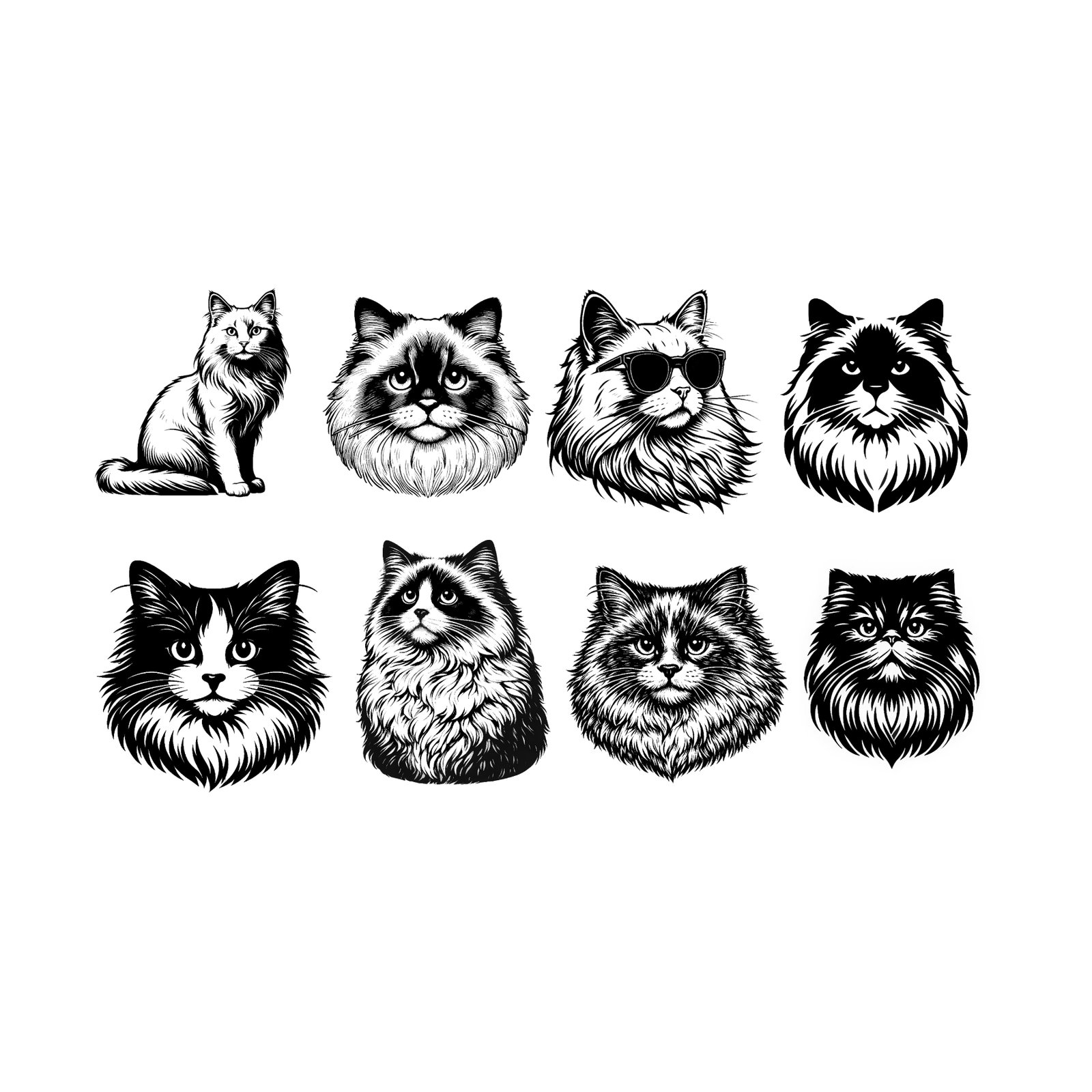 w 8 x Ragdoll Cat SVG PNG Bundle - Long Haired Cat Portraits - Cute Fluffy Cat Clipart - Hand Drawn Cat Illustration - Sublimation Design for Pet Lovers Digital Download DIY Decal Design Vinyl Cut File Instant Digital Download - Image 1